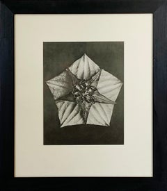 Flower form, Pentagon and Star