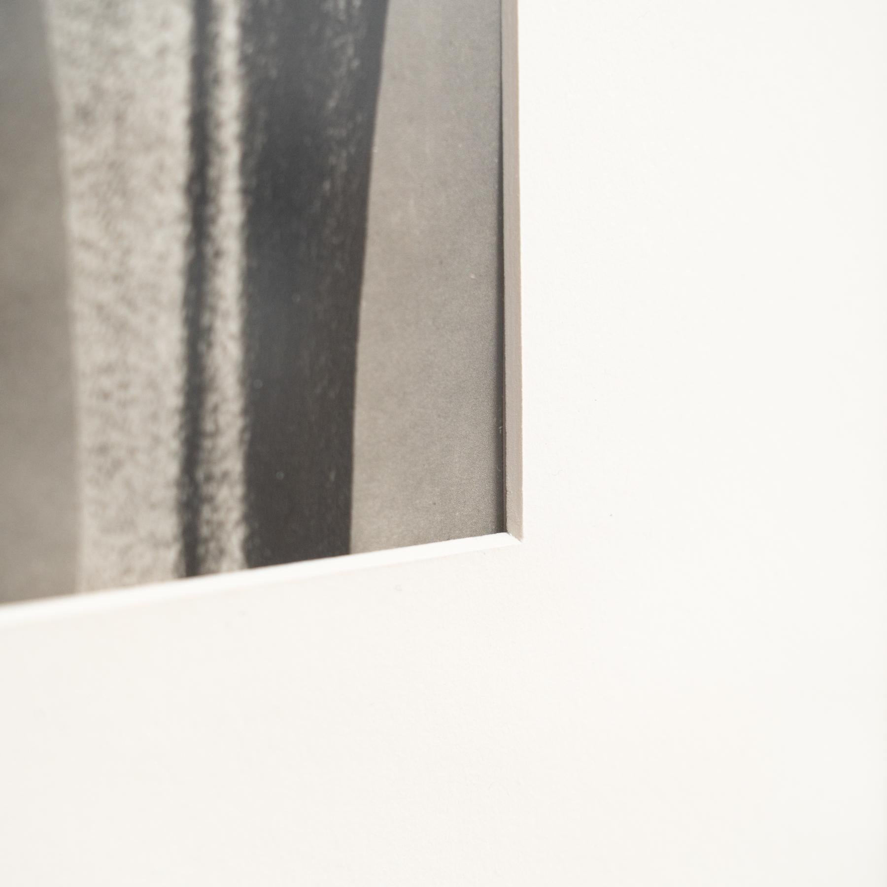 Karl Blossfeldt Photogravure: L'Eleganza della Natura in una cornice classica (1942) in vendita 4