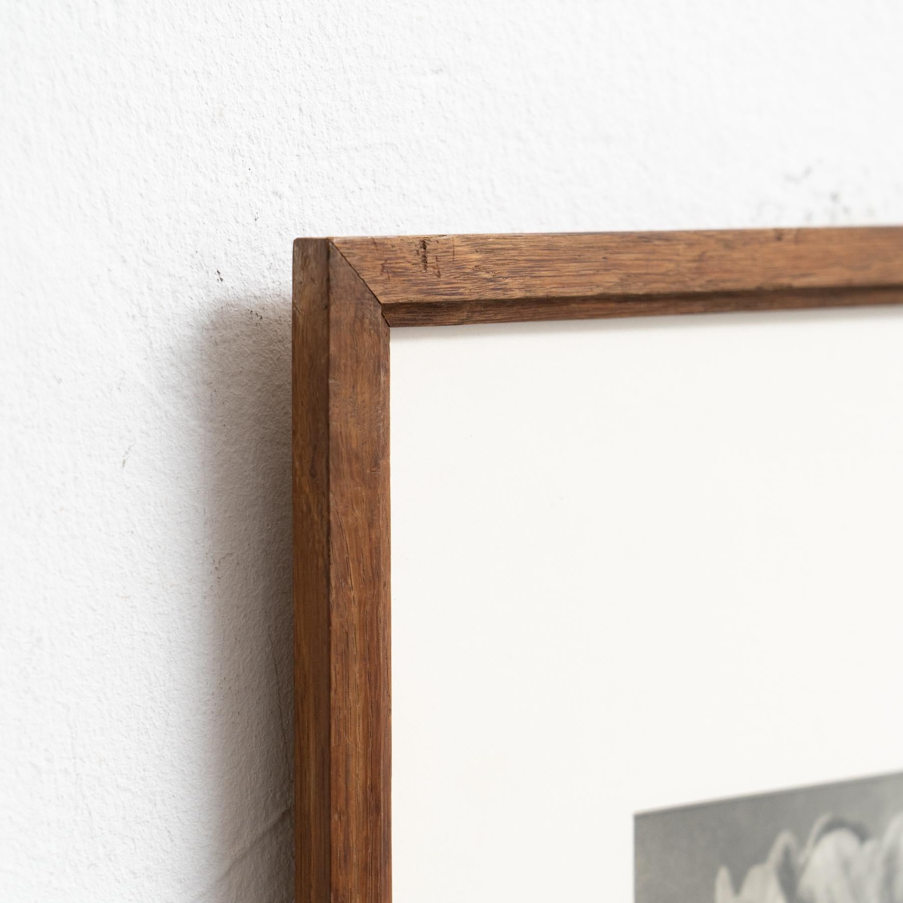 Karl Blossfeldt Photogravure: Nature's Elegance in Classic Frame (1942) For Sale 5