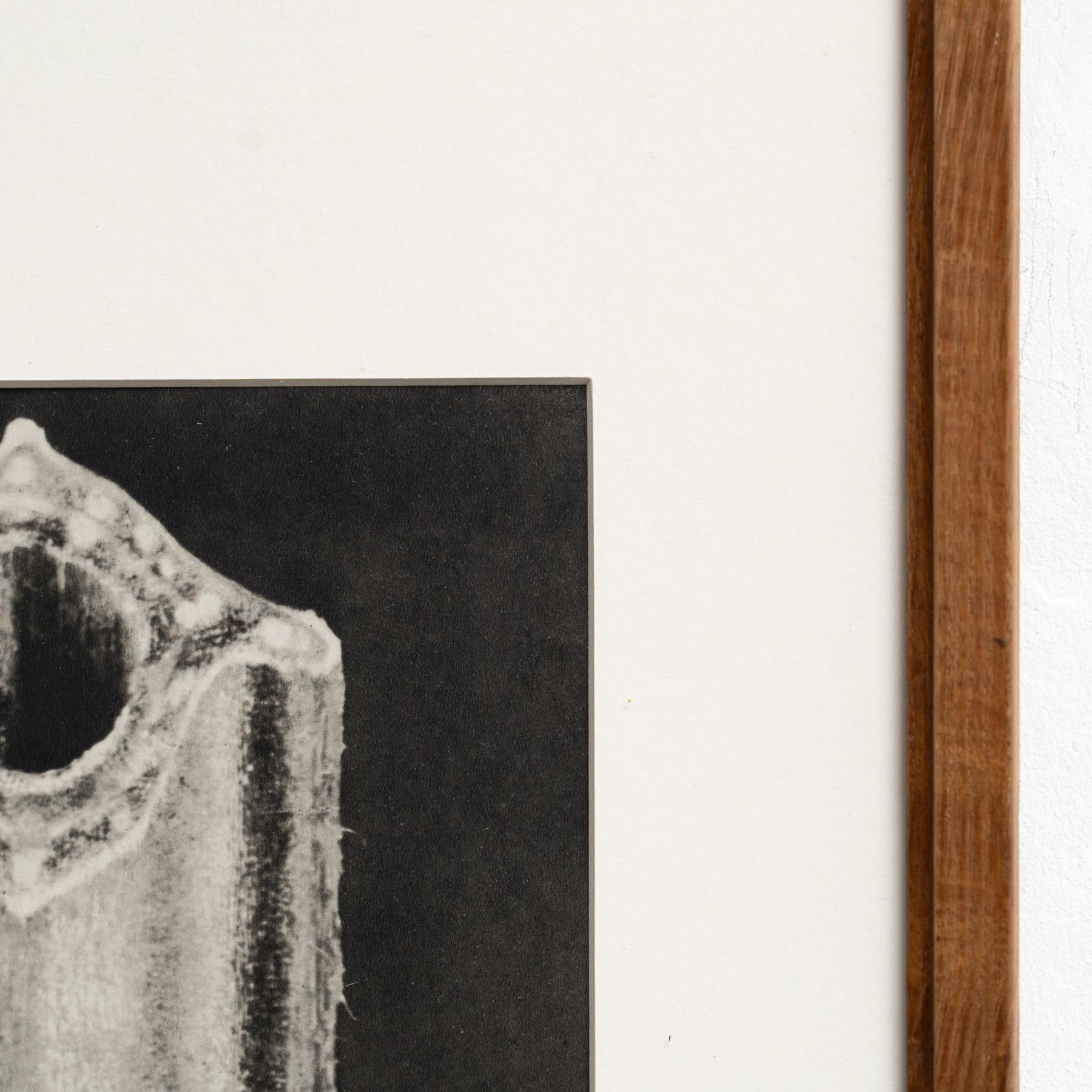 Carta Karl Blossfeldt Photogravure: L'Eleganza della Natura in una cornice classica (1942) in vendita