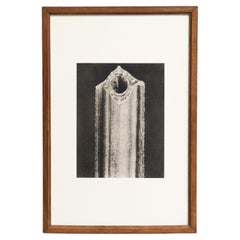 Karl Blossfeldt Photogravure: L'Eleganza della Natura in una cornice classica (1942)