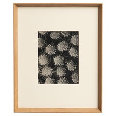 Karl Blossfeldt Photogravure: L'Eleganza della Natura in una cornice classica (1942)