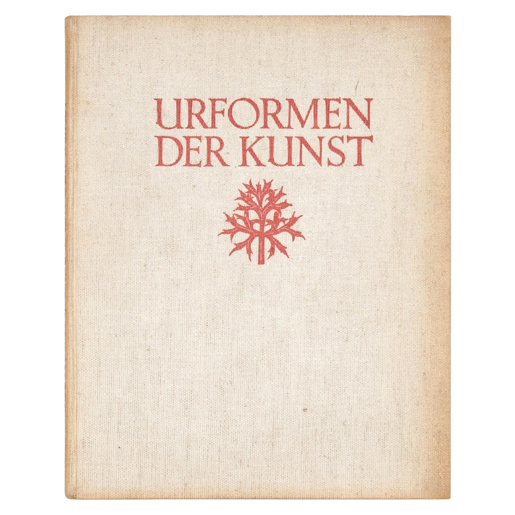 Karl Blossfeldt "Urformen Der Kunst" 1935 Book