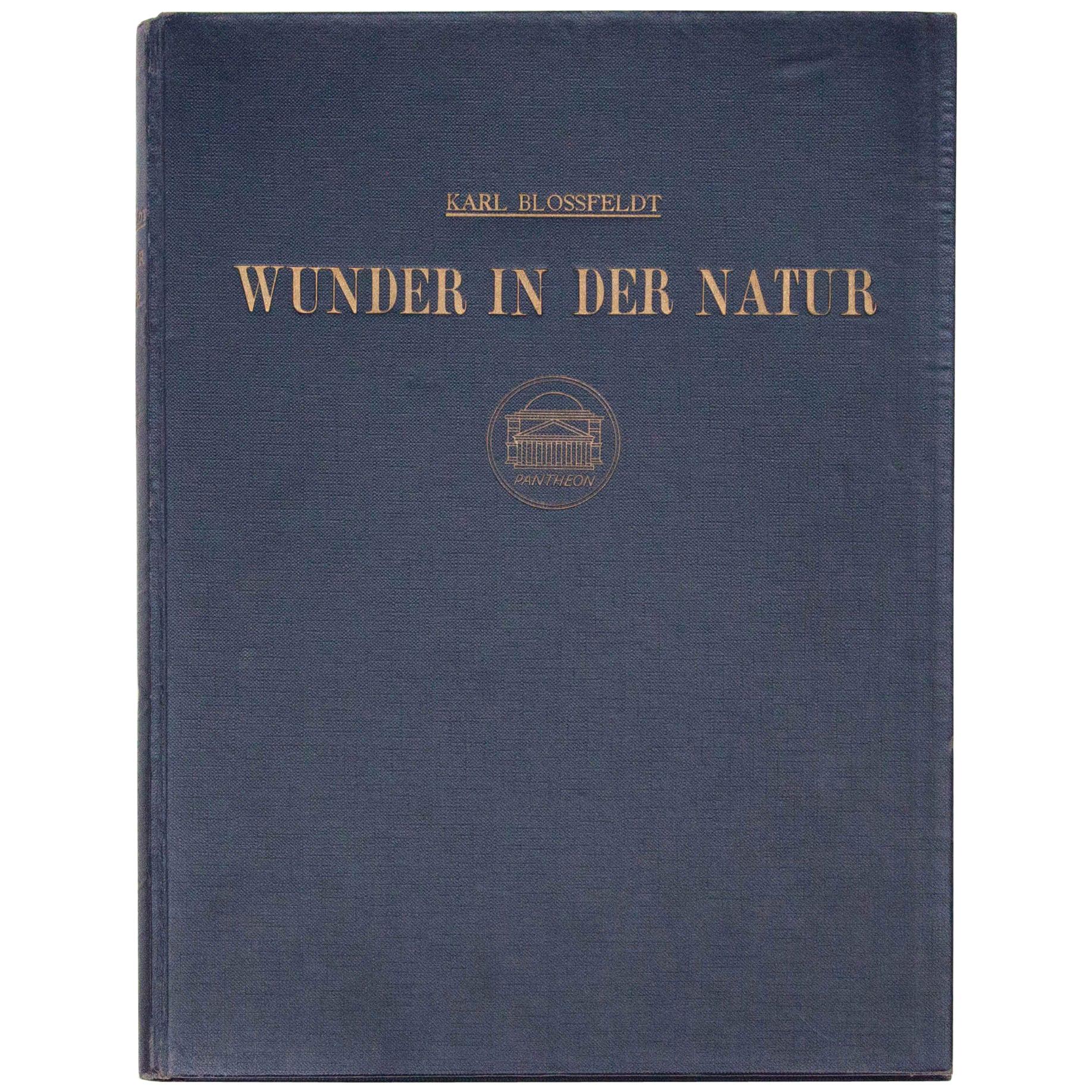 Karl Blossfeldt "Wunder in der Natur" 1942 Book