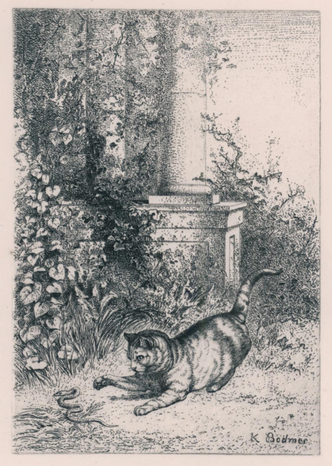 Figurative Print Karl Bodmer - Un chat domestique jouant avec un serpent grenouille, d'Eaux-Fortes Animaux & Paysages