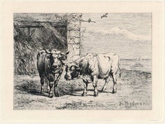 Bulls, d'Eaux-Fortes Animaux & Paysages