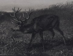 Le Soir: Cerf et Herons (The Evening: Stag and Herons)