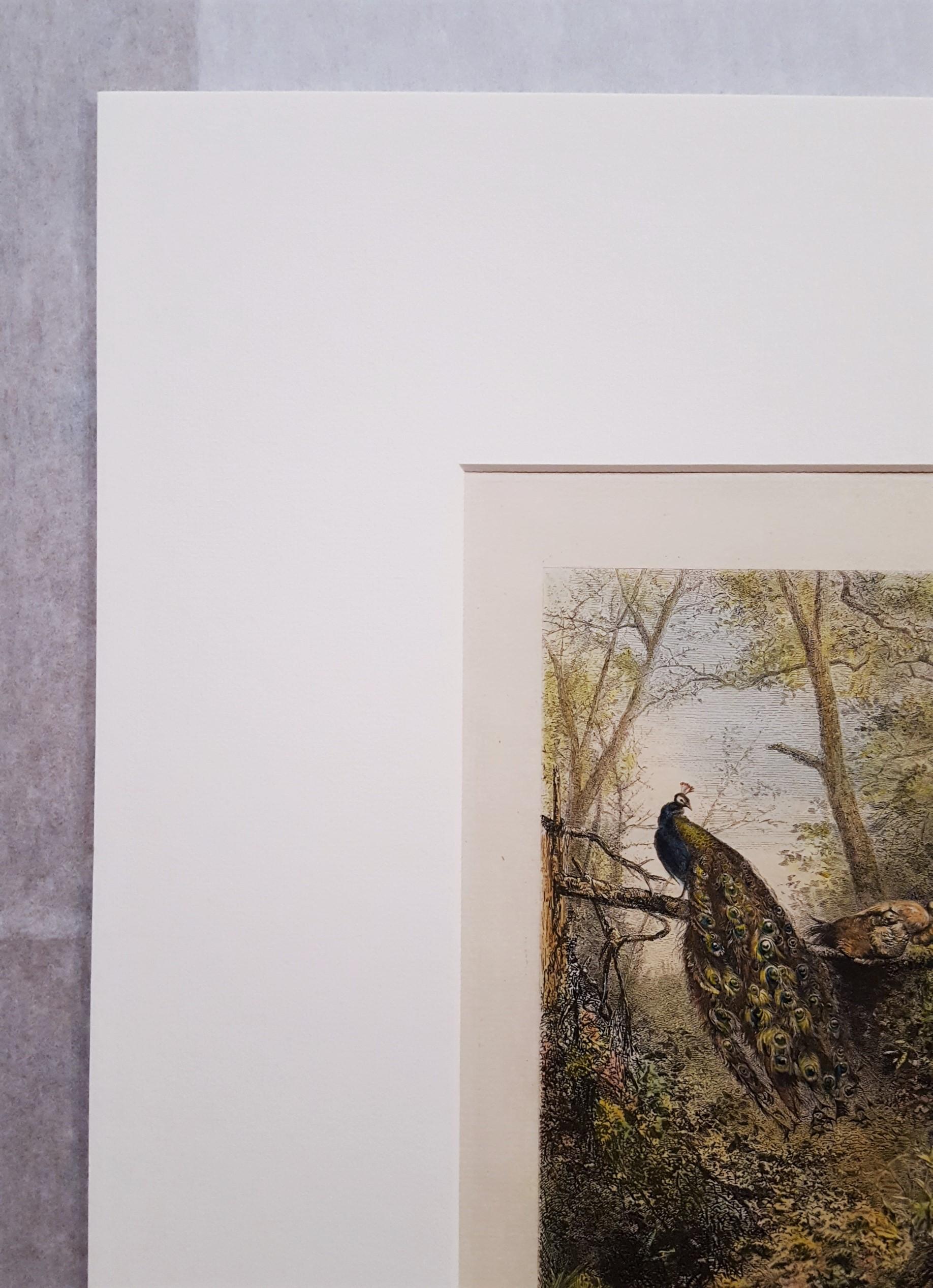 Peacocks on a Bough - Romantic Print by Karl Bodmer