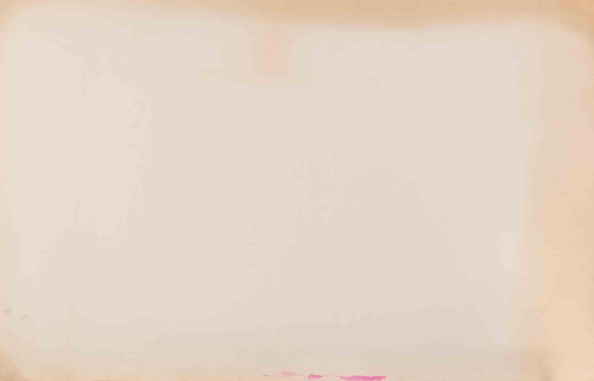 Pigeon - Lithograph By Karl Bodmer - 19th century For Sale 1