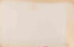 Pigeon - Lithograph By Karl Bodmer - 19th century