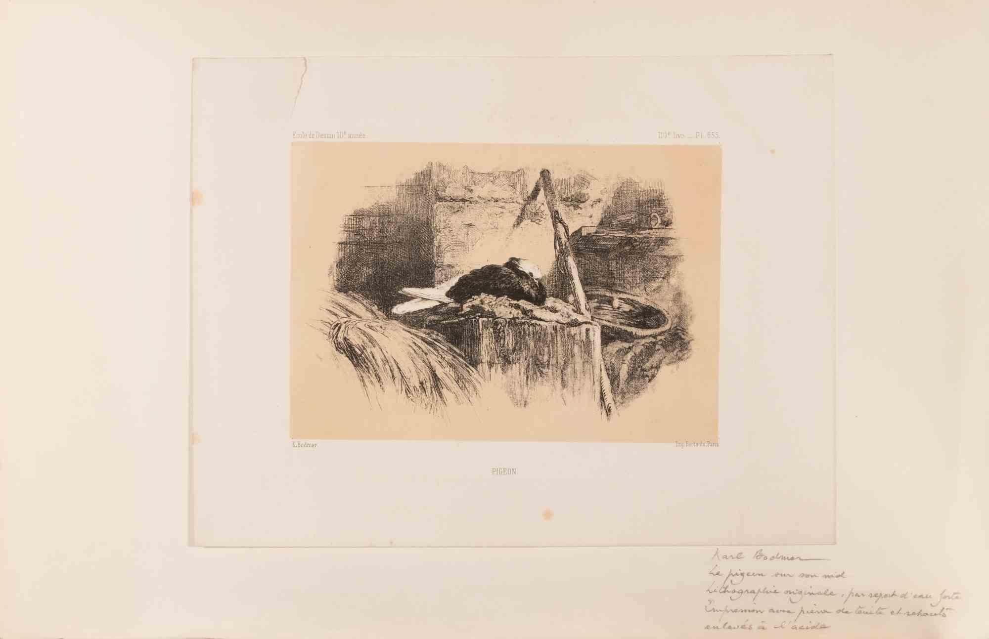 Lithograph realized by Karl Bodmer (1809-1893) in the mid-19th Century.

Not signed.

Published as part of the “École de Dessin” series (noted as the 10th year, 110th book, plate 655 at the top of the sheet), which was a pedagogical series meant to