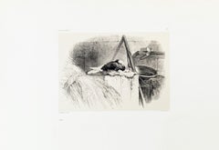 Pigeon – Originallithographie von Karl Bodmer – Ende des 19. Jahrhunderts