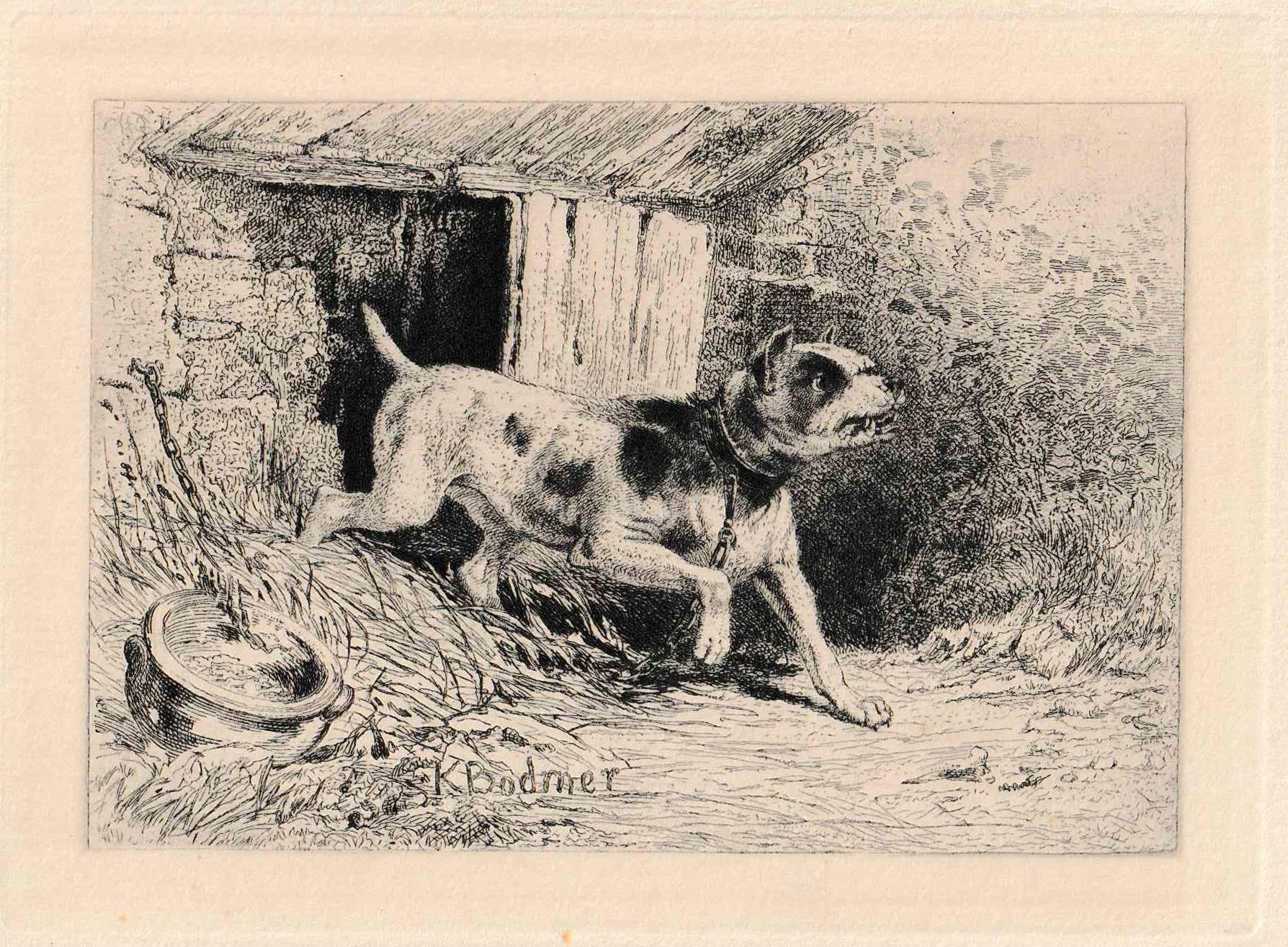 Karl Bodmer Figurative Print - Watchdog, from Eaux-Fortes Animaux & Paysages