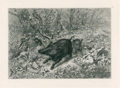 Wild Boar, from Eaux-Fortes Animaux & Paysages: Sanglier