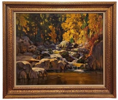 Antique Rocky Stream in Autumn, Sunlight and Shadow