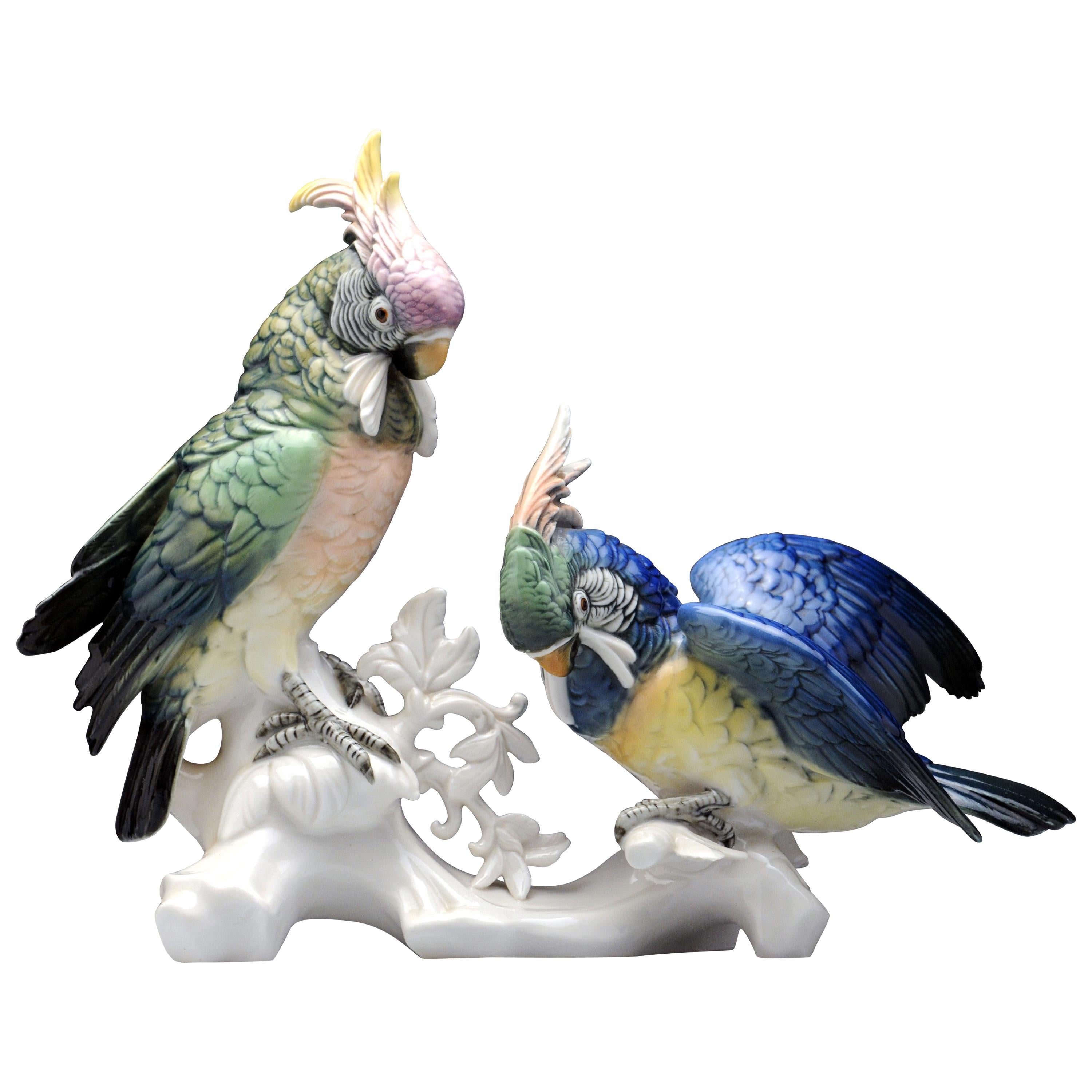 Figurine d'oiseau cacatoès perroquet en porcelaine allemande Karl Ens