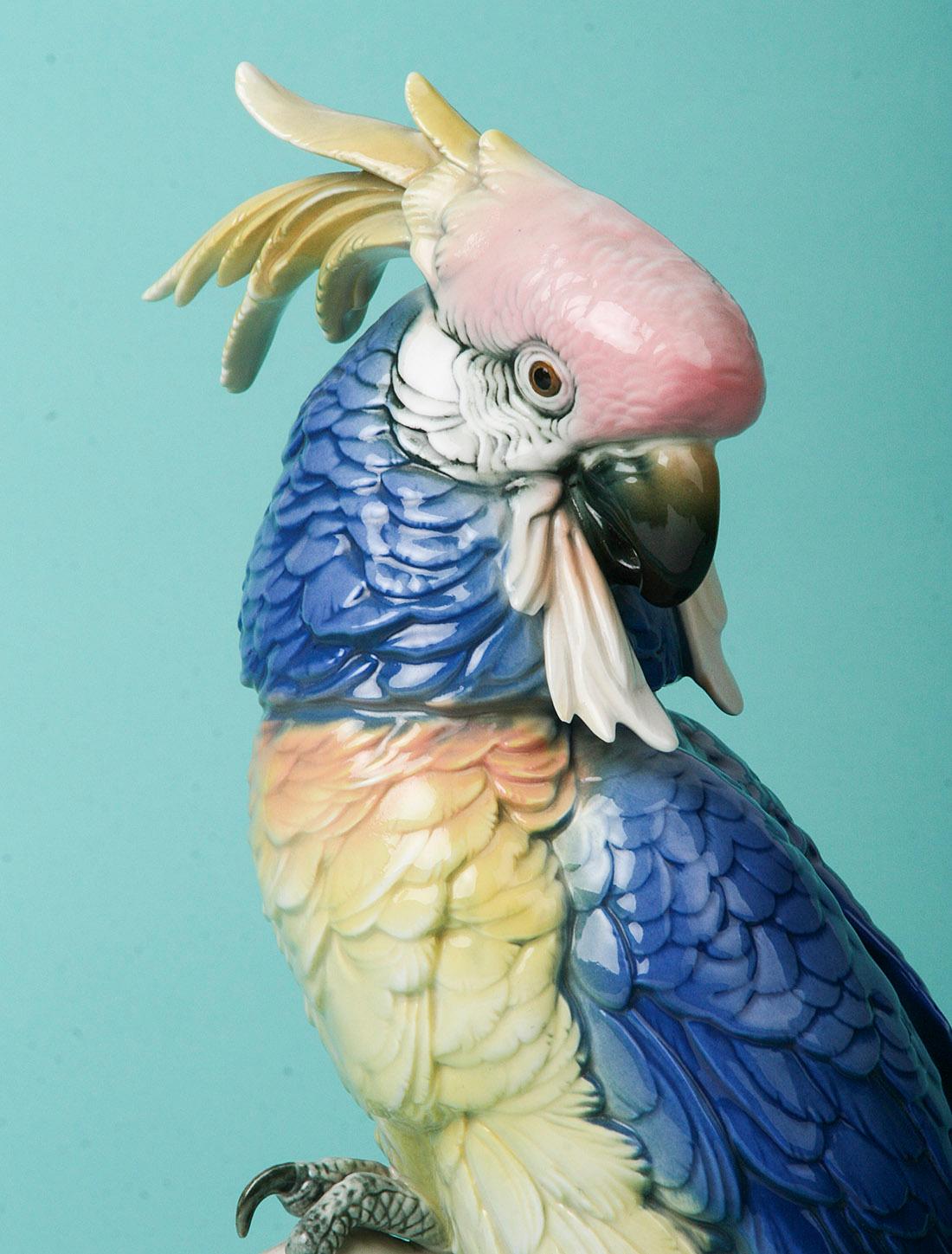 Karl Ens Porcelain Statue of a Parrot, Early 19th Century 3