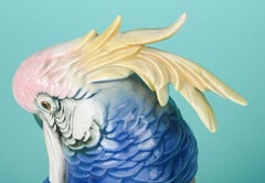 Karl Ens Porcelain Statue of a Parrot, Early 19th Century