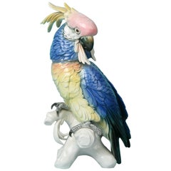 Karl Ens Porcelain Statue of a Parrot, Early 19th Century