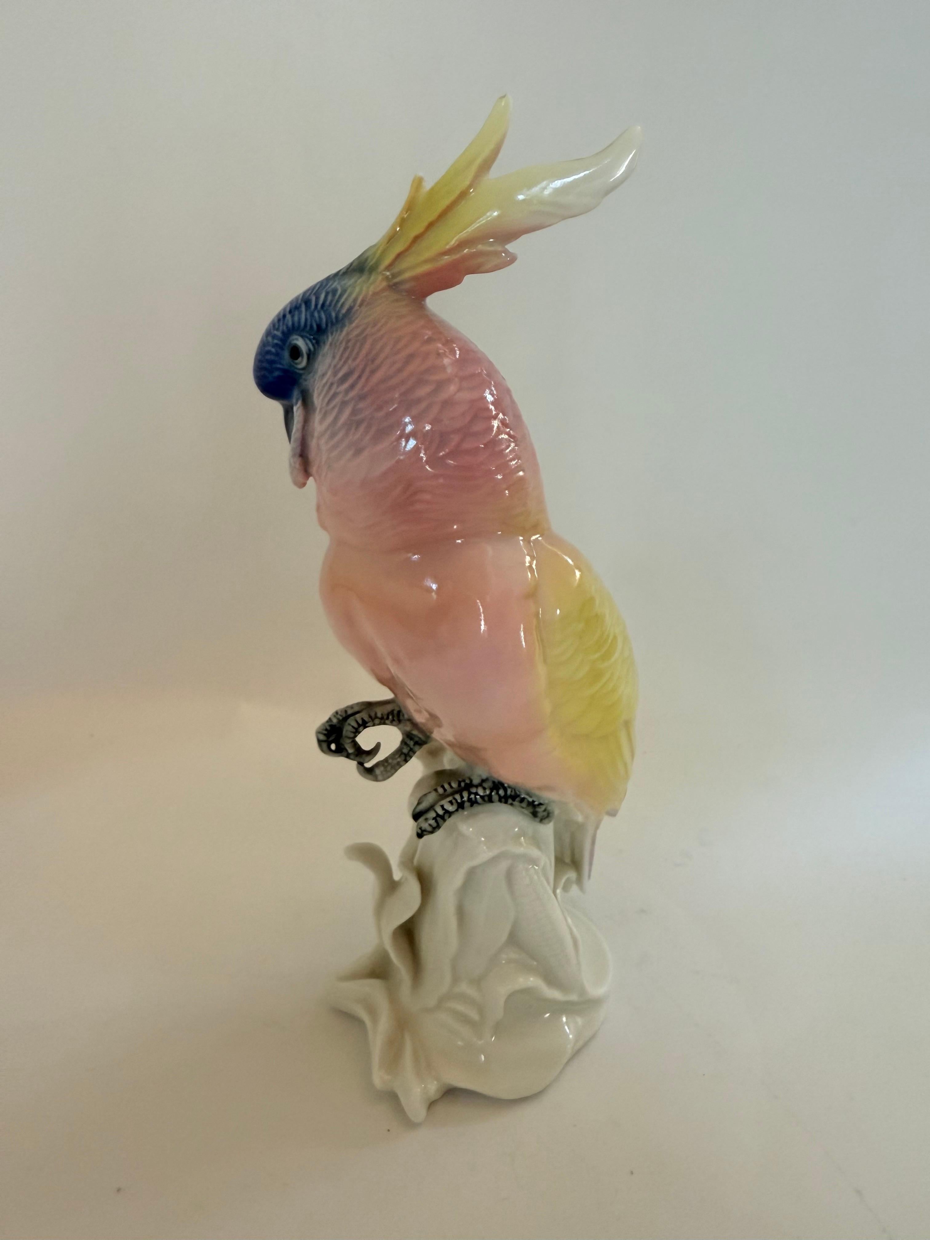 Karl Ens Vintage porcelain figure Parrot 4