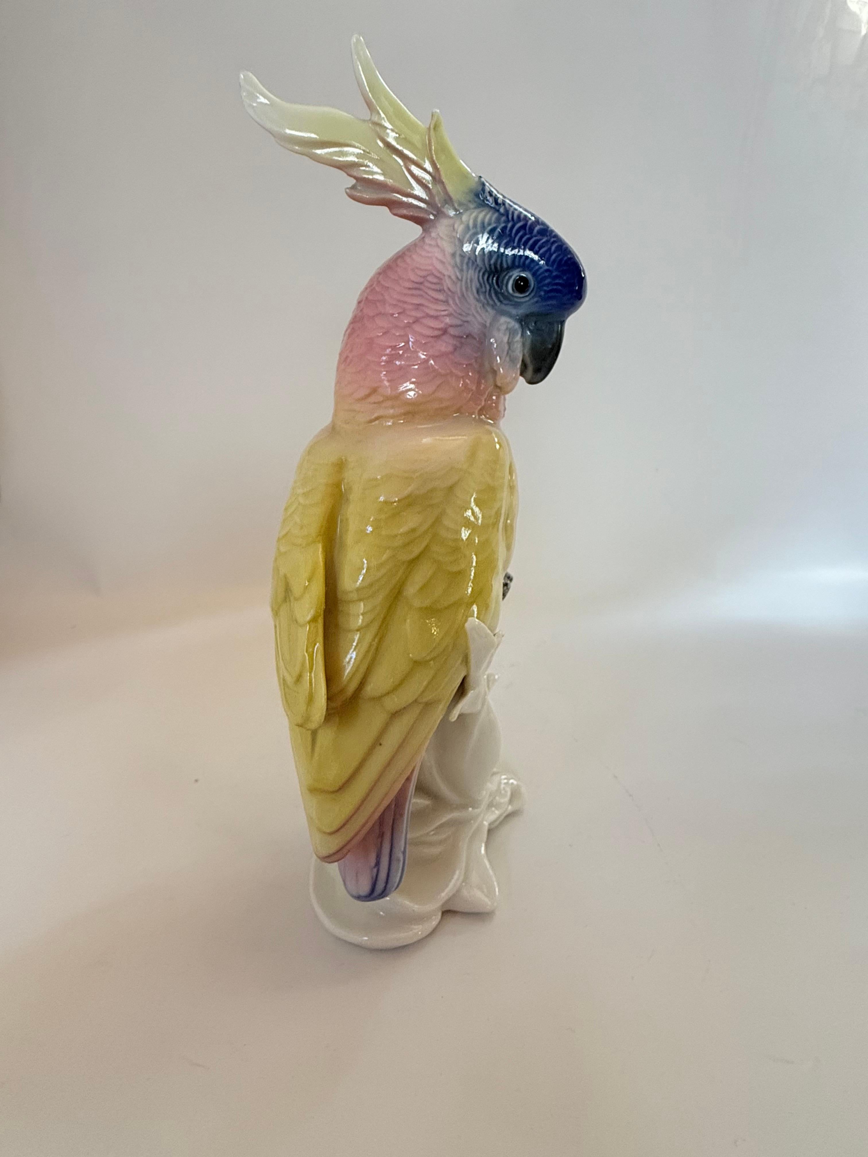 Karl Ens Vintage porcelain figure Parrot 6