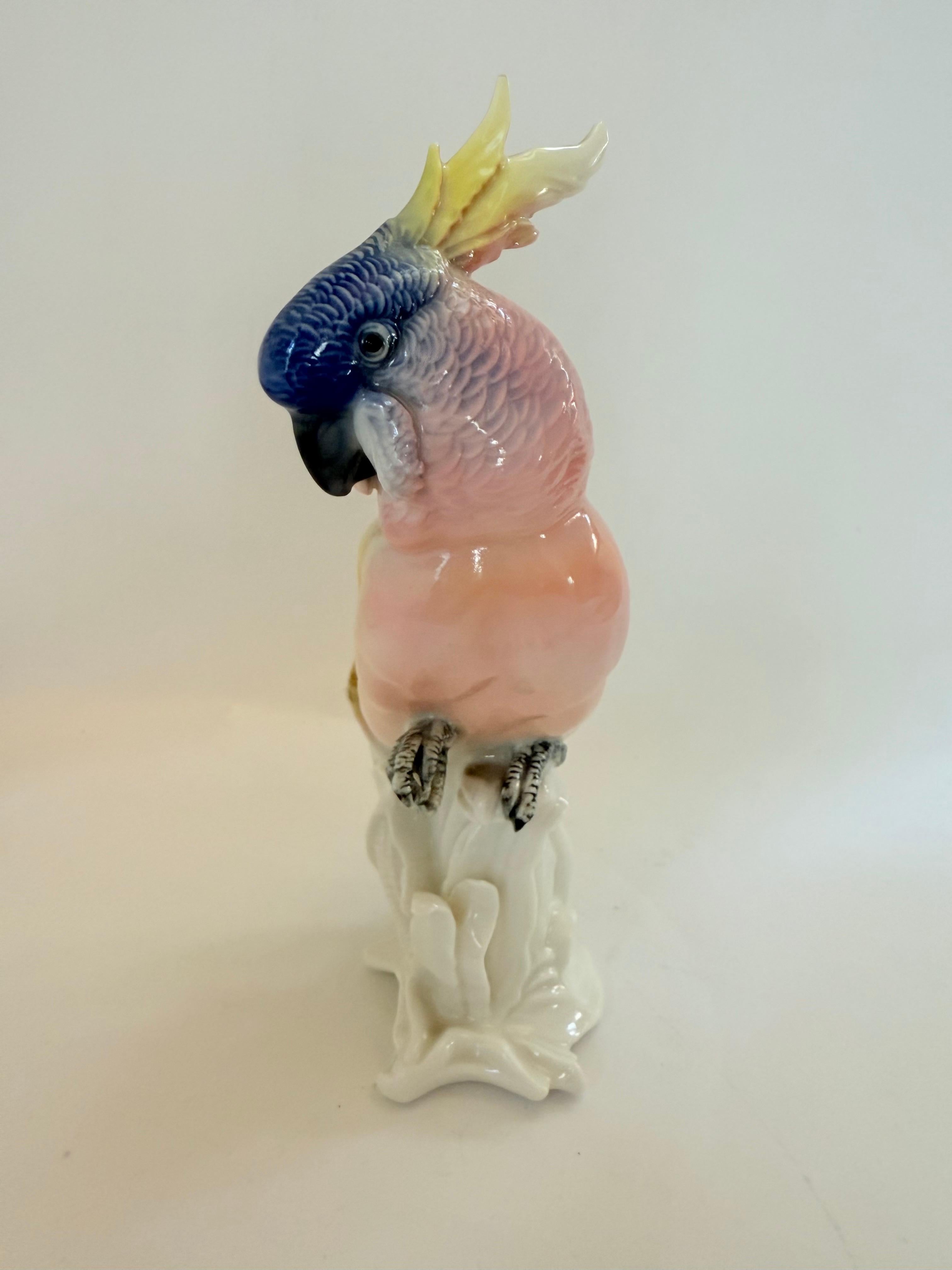 German Karl Ens Vintage porcelain figure Parrot