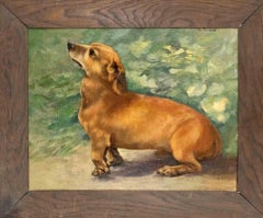 Portrait of a Dachshund - Oil Painting by Karl Hans Taeger - Early 20th century