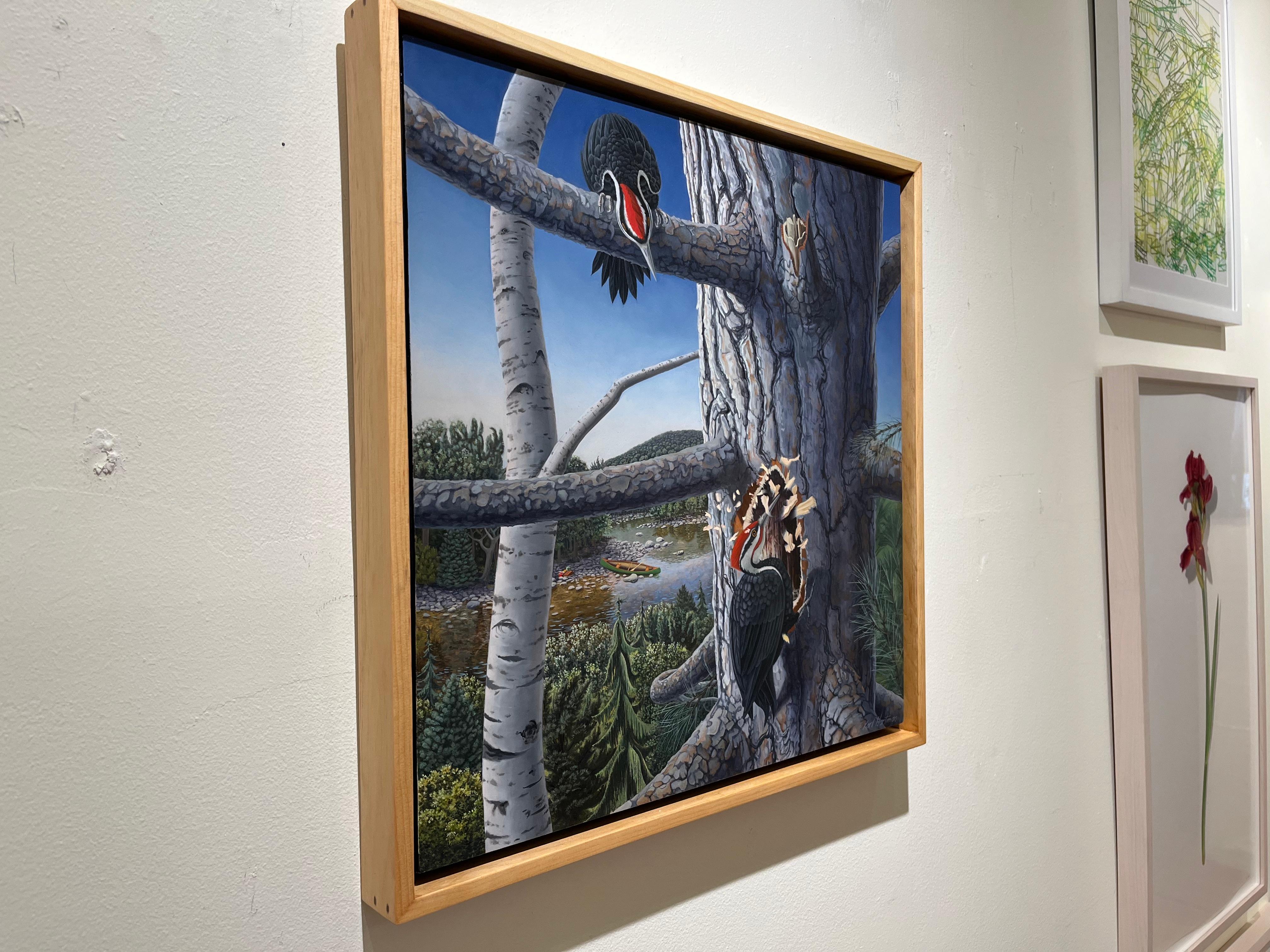 Karl Hartmans Homesteaders (2024) fängt einen lebhaften Moment im Wald ein, in dem zwei Buntspechte fleißig ein Haus in eine alte Kiefer schnitzen. Das in Öl auf Aluminium gemalte Werk vereint natürlichen Realismus mit phantasievollen Details - eine