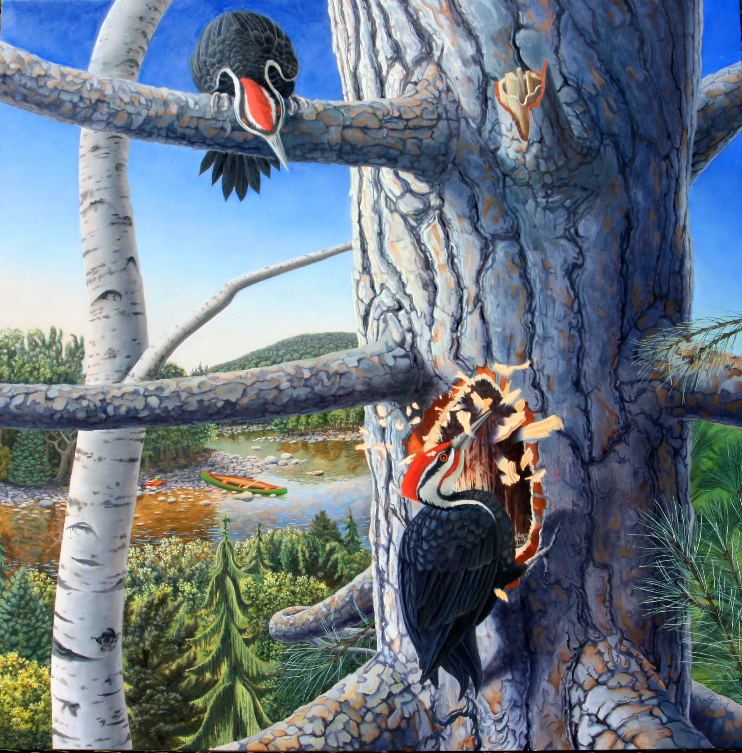 Homesteaders,  Pájaros carpinteros anidando en un pino - Arte paisajístico de la fauna forestal