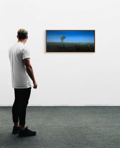 Lone Cottonwood, Surreal Open Meadow Landscape with Solitary Tree, 15 x 33 in