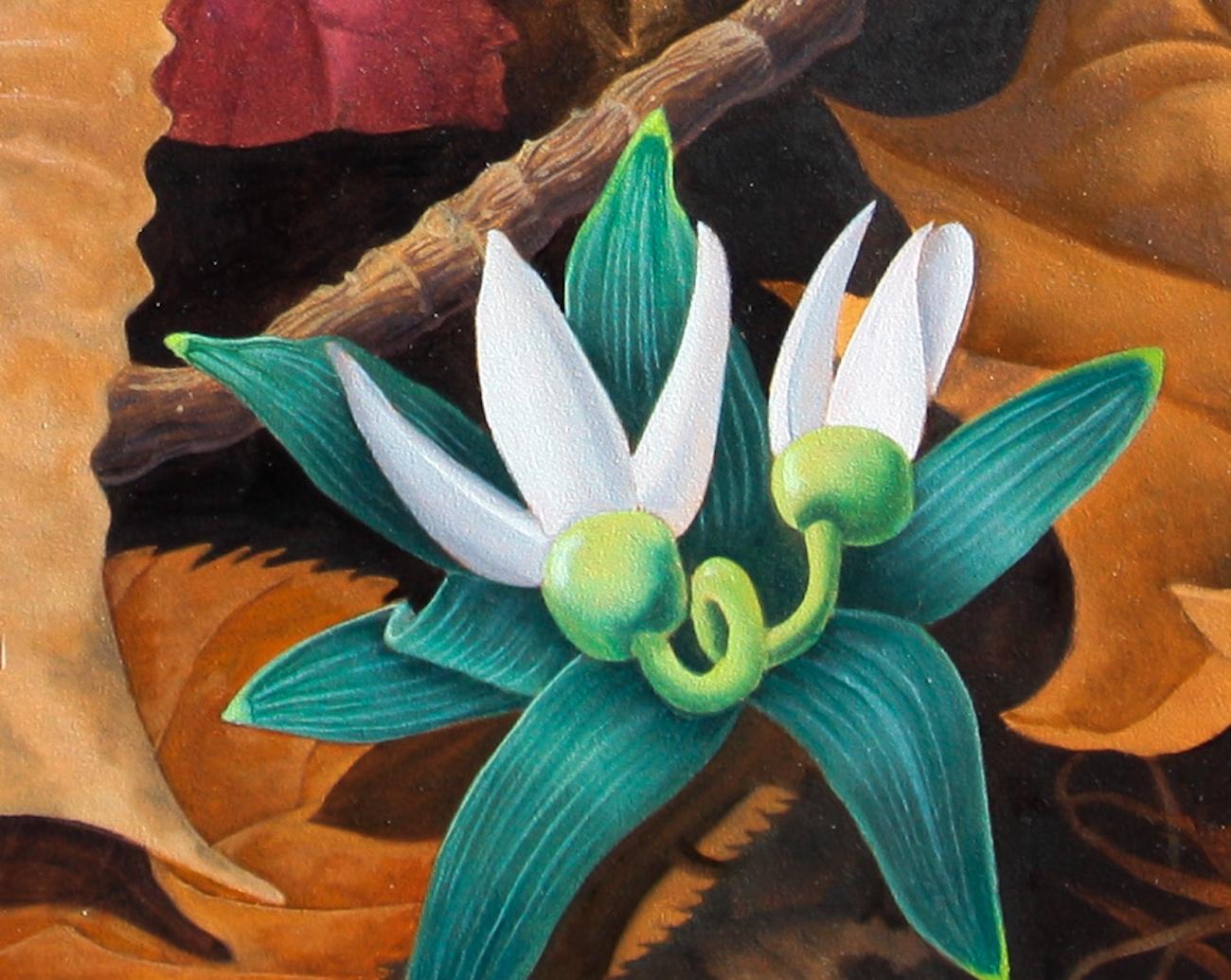 Spring For Sale 3