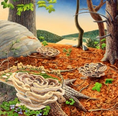 Stump Blossoms 18 x 18 in Woodland Still Life With Shelf Fungi and Forest Floor
