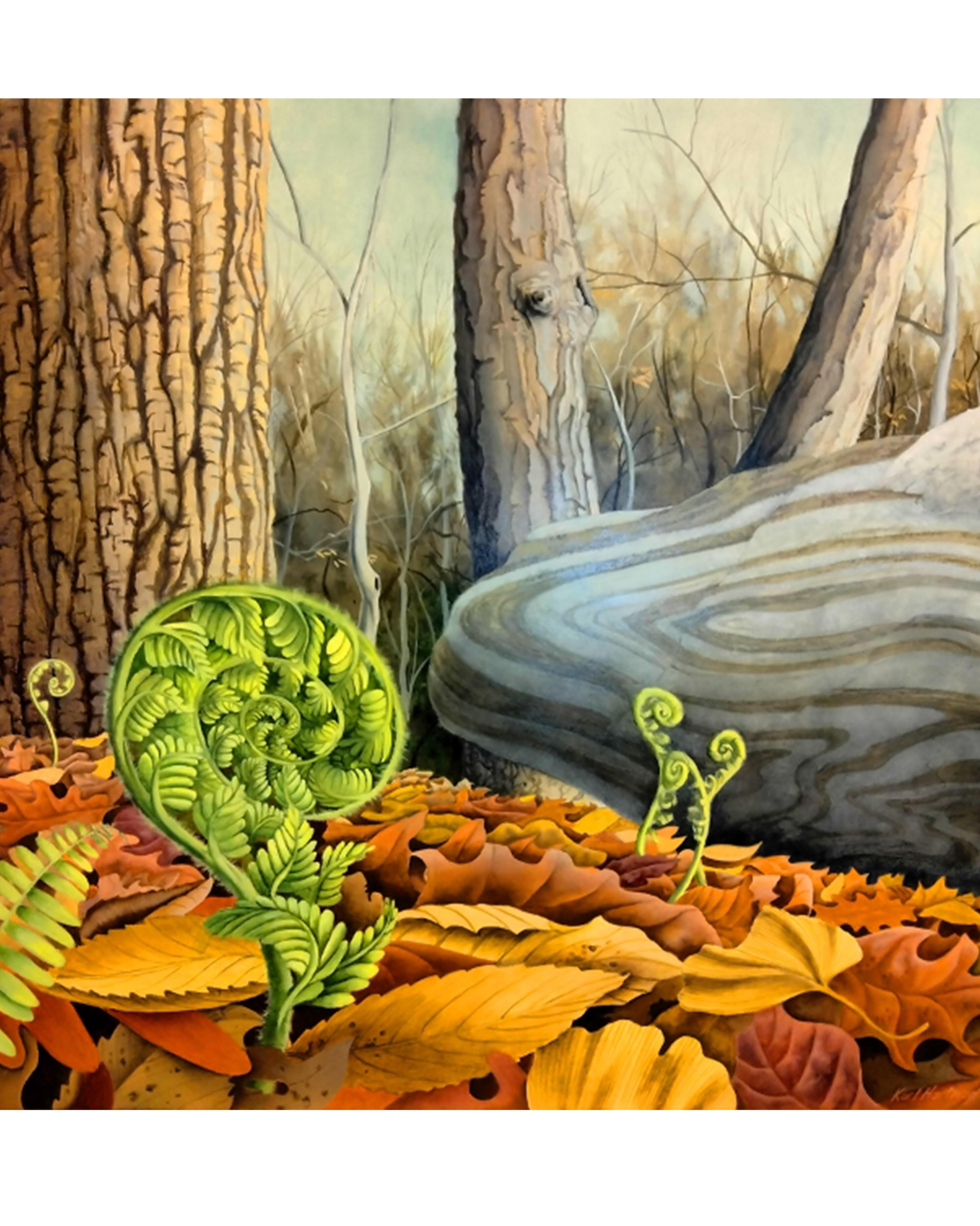 In Unfurl, Karl Hartman focuses on the forest floor, where bright green ferns curl upward through a layer of fallen autumn leaves. The vivid, unfurling forms contrast with the surrounding tree trunks and smooth stone, suggesting growth and quiet