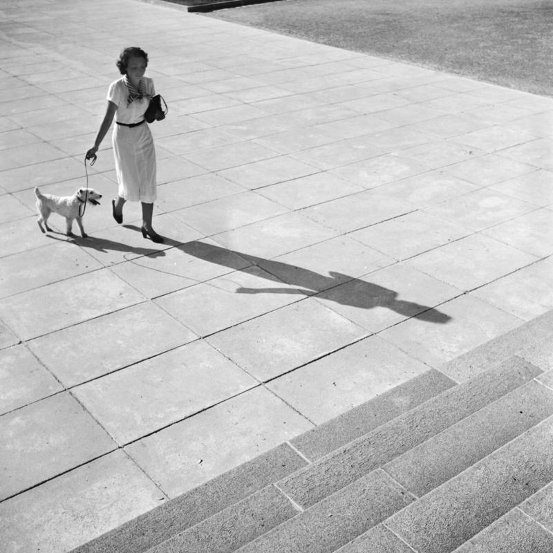 Karl Heinrich Lämmel Landscape Photograph - Woman with a fox terrier, Germany 1930 Limited ΣYMO Edition, Copy 1 of 50