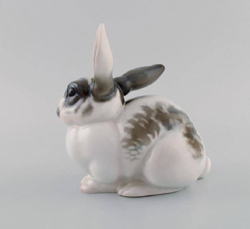 rosenthal rabbits