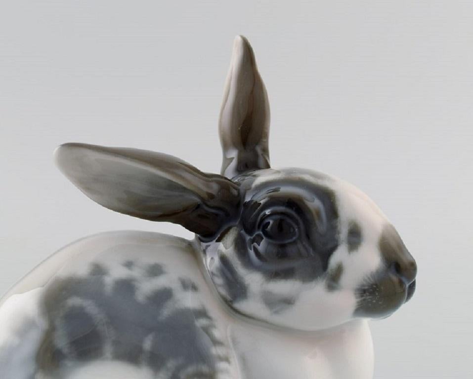 German Karl Himmelstoss for Rosenthal, Sitting Rabbit in Porcelain, 1920s / 30s