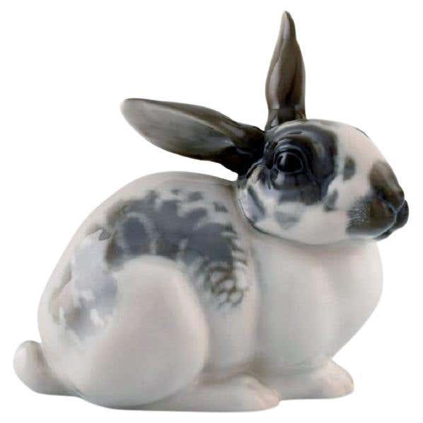 Karl Himmelstoss for Rosenthal, Sitting Rabbit in Porcelain, 1920s ...