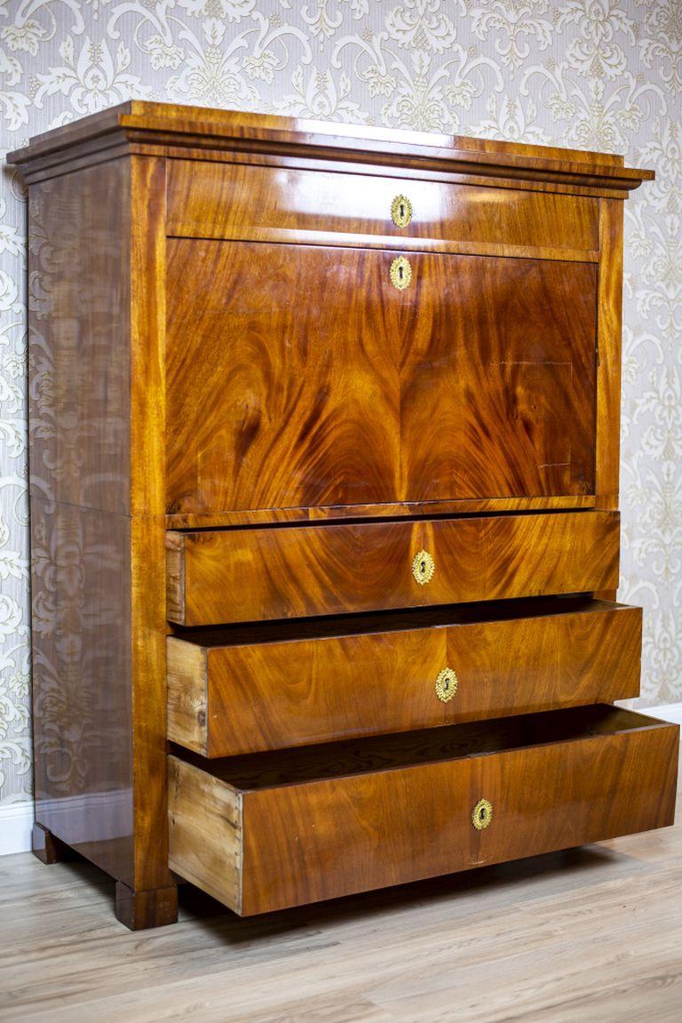 Karl Johan Mahogany Chiffonier, Early 19th Century 8