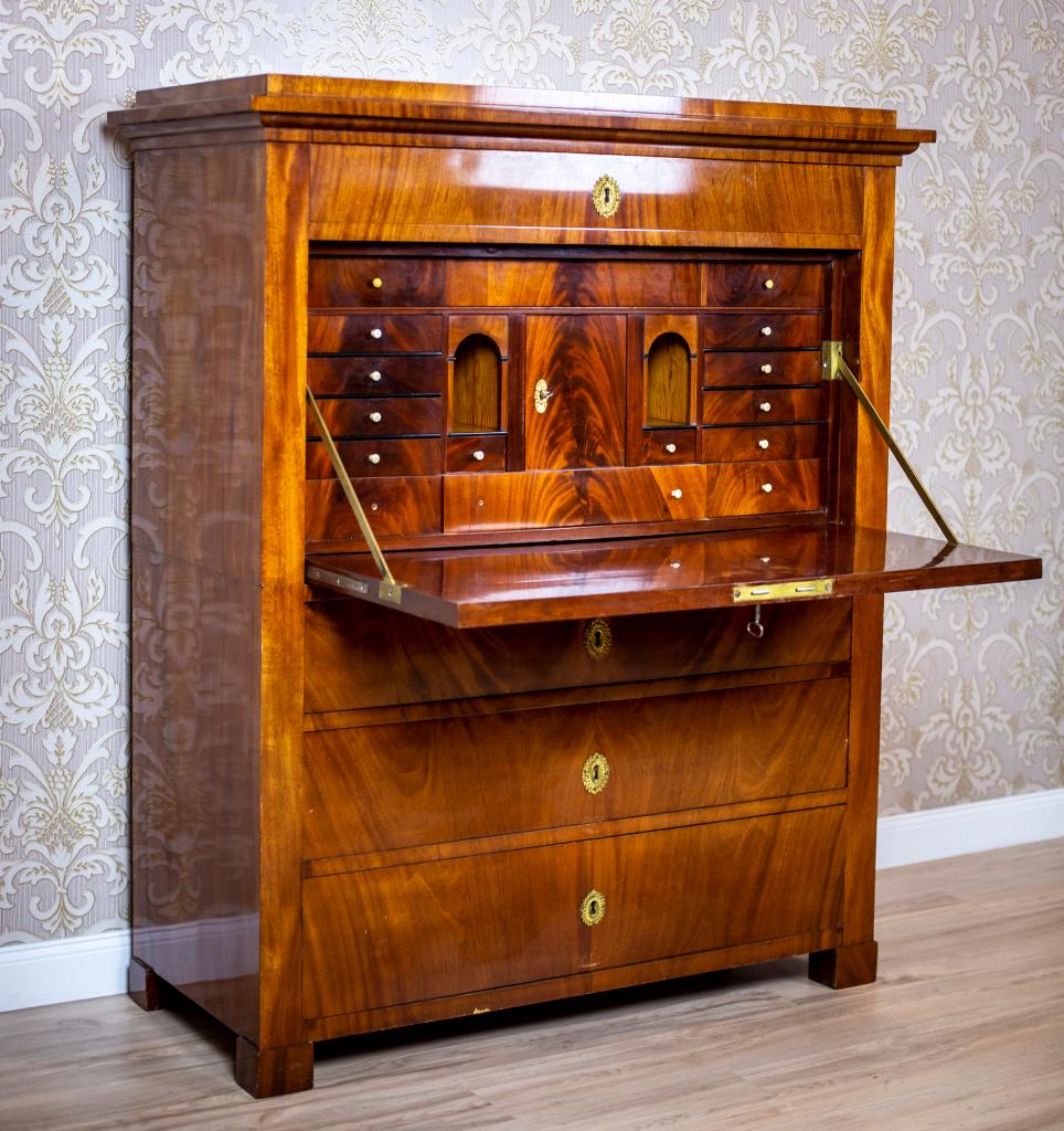 Scandinavian Karl Johan Mahogany Chiffonier, Early 19th Century