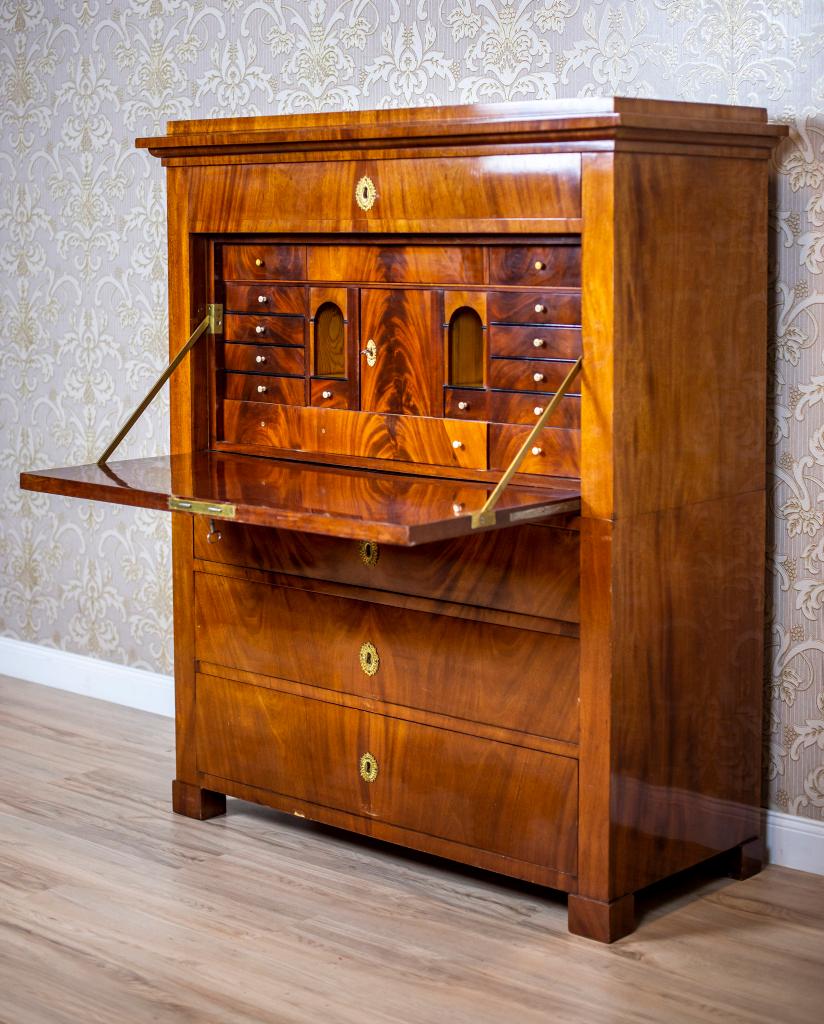 Karl Johan Mahogany Chiffonier, Early 19th Century In Good Condition In Opole, PL