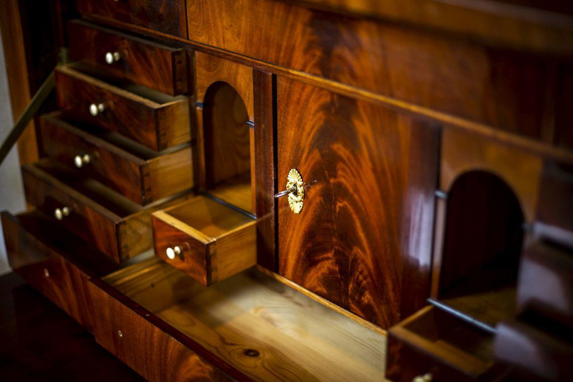 Karl Johan Mahogany Chiffonier, Early 19th Century 5