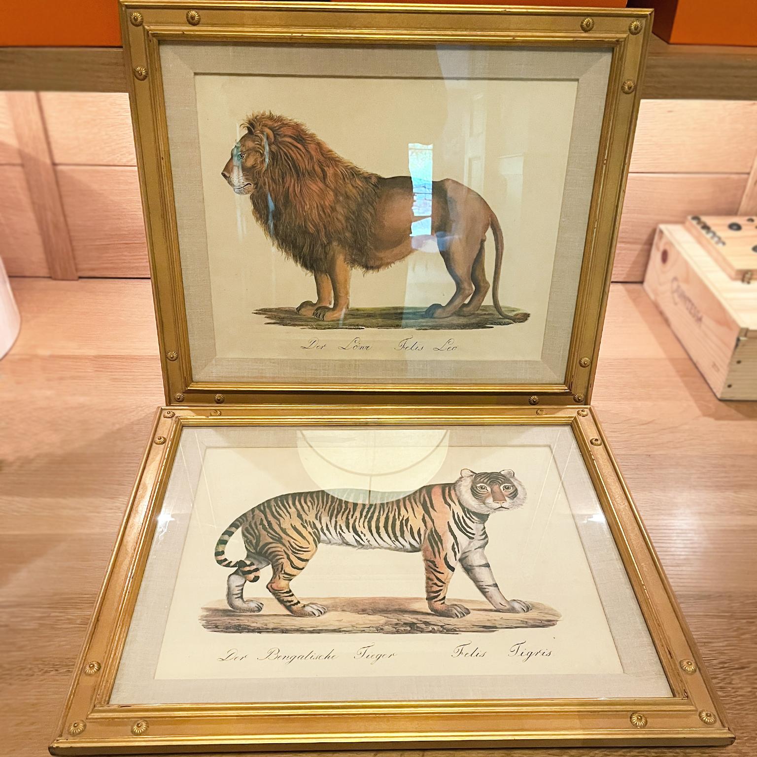 Dos litografías que representan un león y un tigre, obra del grabador suizo Karl Joseph Brodtmann (1787-1862). Publicadas originalmente a principios del siglo XIX, estas litografías se imprimieron en el siglo XX y se presentan aquí en exquisitos