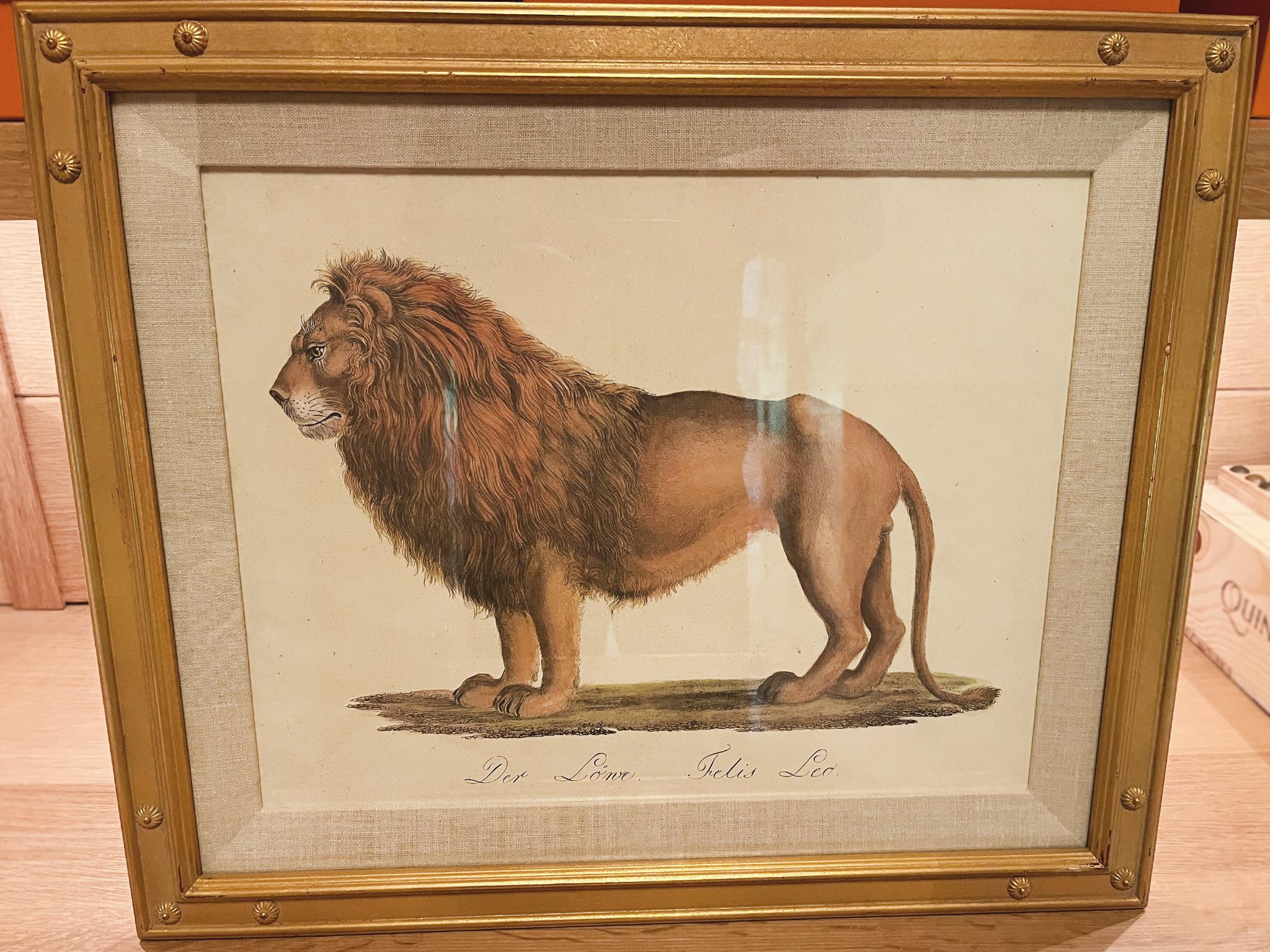 Litografías de grandes felinos de Karl Joseph Brodtmann Suizo en venta