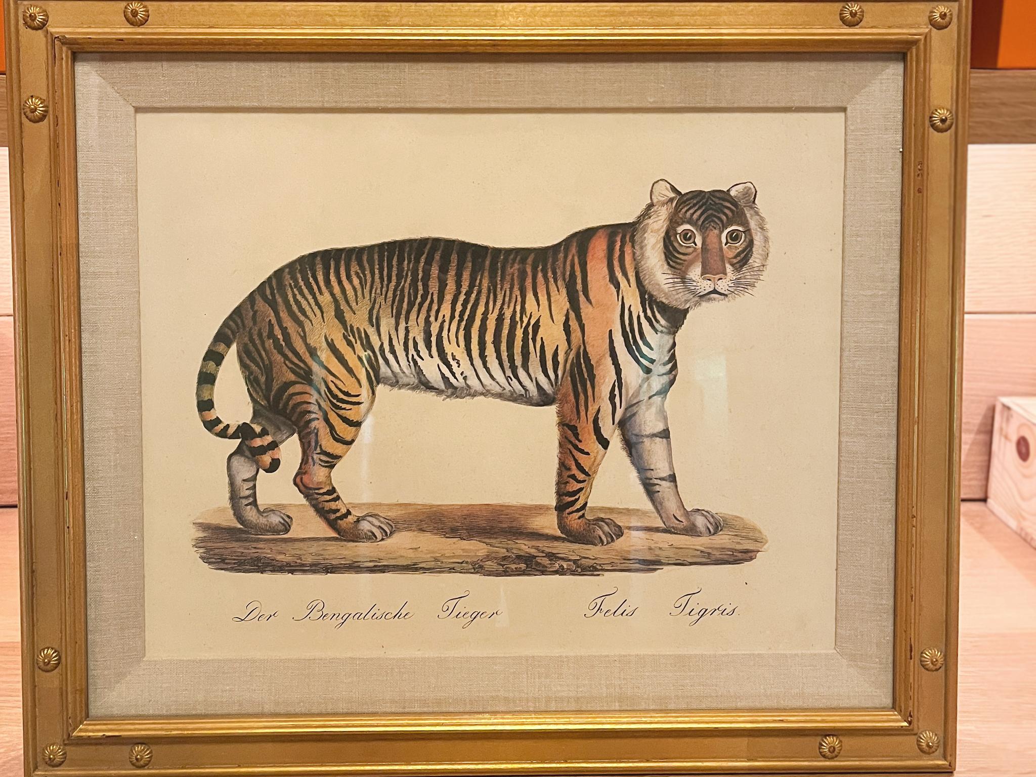 Litografías de grandes felinos de Karl Joseph Brodtmann siglo XX en venta