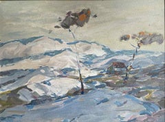 Hütte in den verschneiten Hügeln