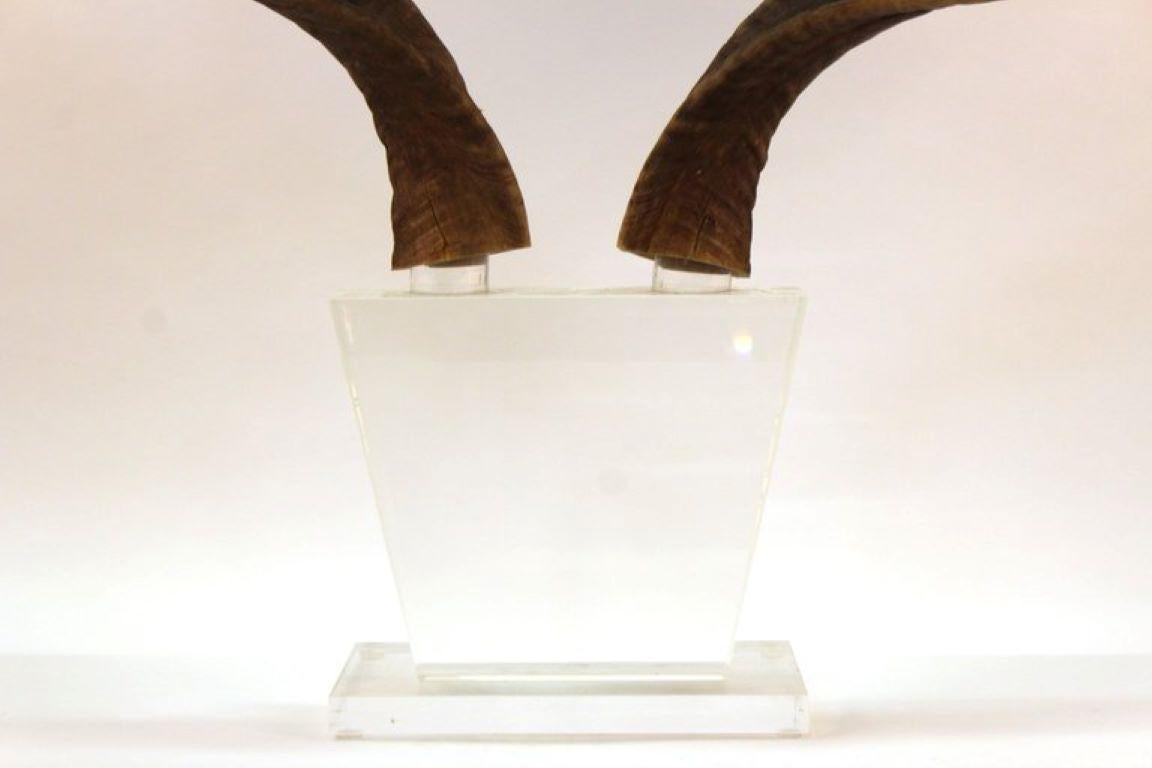 Karl Springer Attr. Antelope Antlers on Lucite In Good Condition In New York, NY