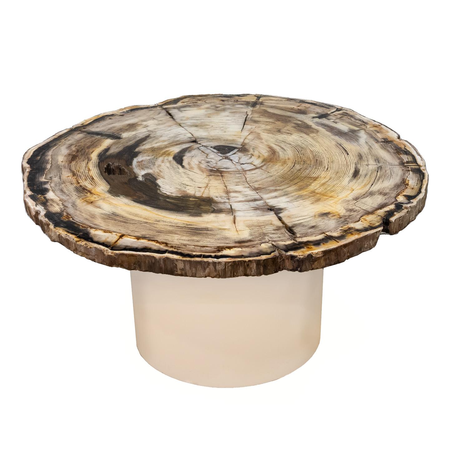 Exceptional and rare coffee table with polished petrified wood top on a circular ivory lacquered base by Karl Springer, American 1980's. Springer loved fossils and other natural historical artifacts. Petrified wood is ancient wood that has been