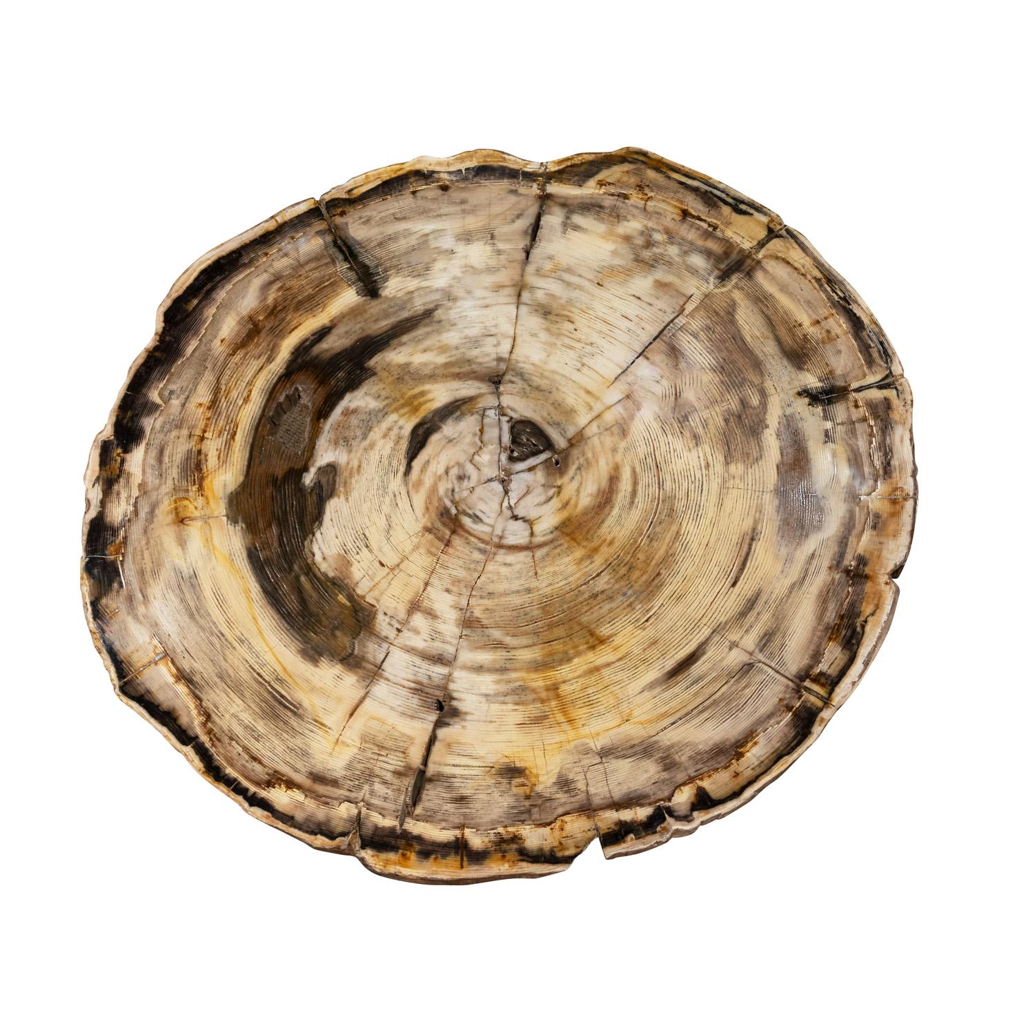 American Karl Springer Exceptional Petrified Wood Coffee Table, 1980s