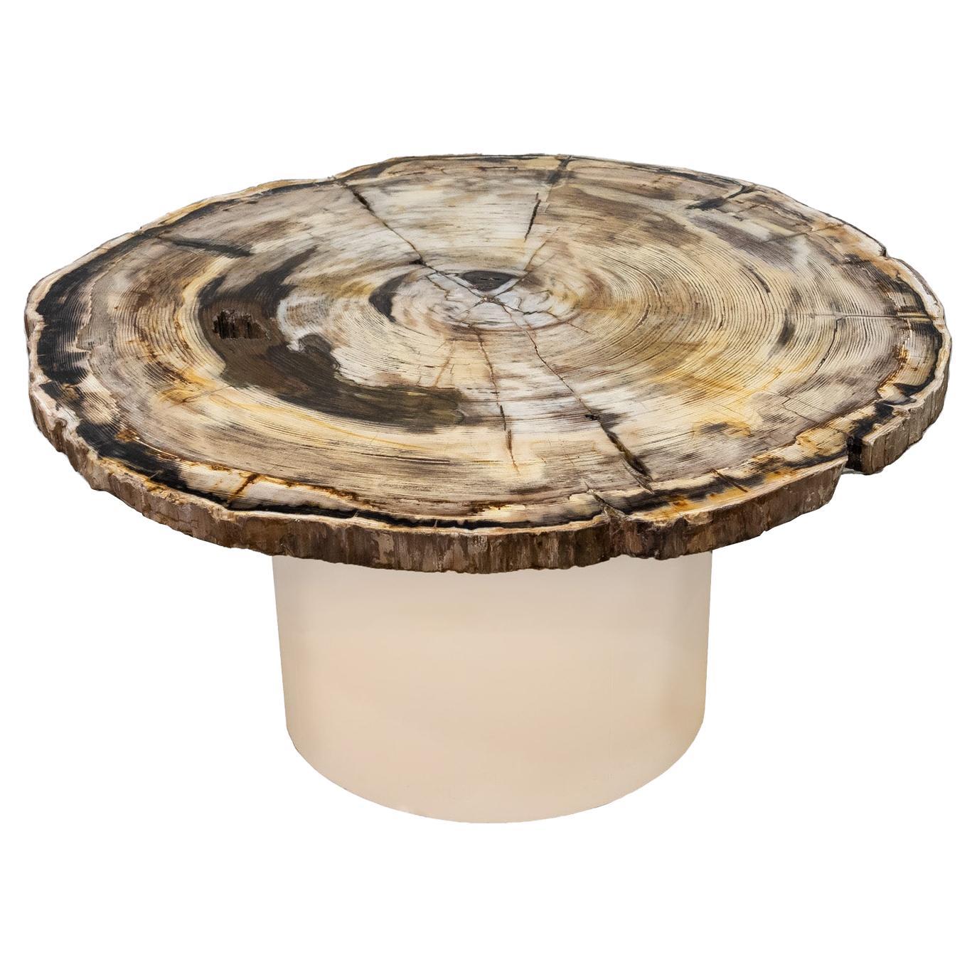 Karl Springer Exceptional Petrified Wood Coffee Table, 1980s