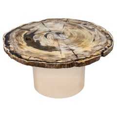 Karl Springer Exceptional Petrified Wood Coffee Table, 1980s